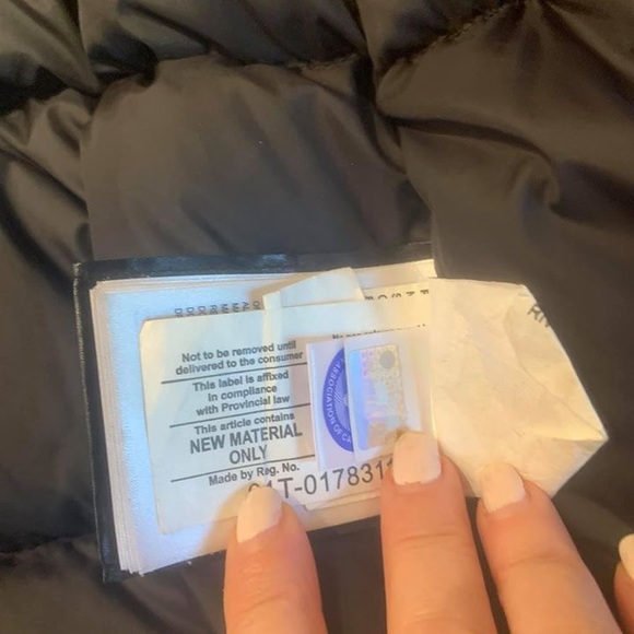 Trillium Canada goose - Picture 4 of 7